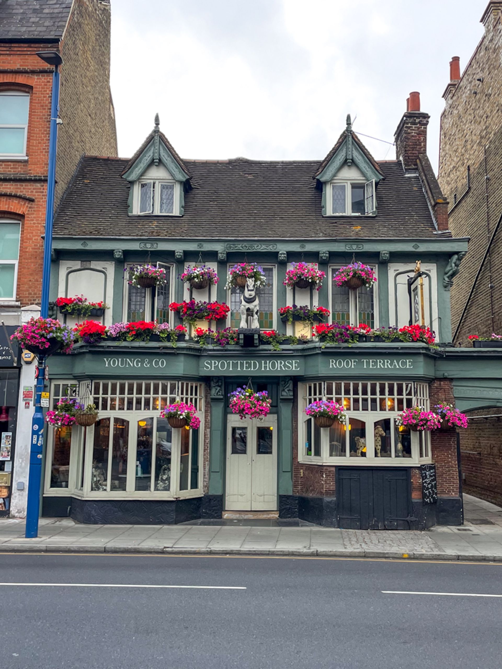 Photo of Spotted Horse, Wandsworth